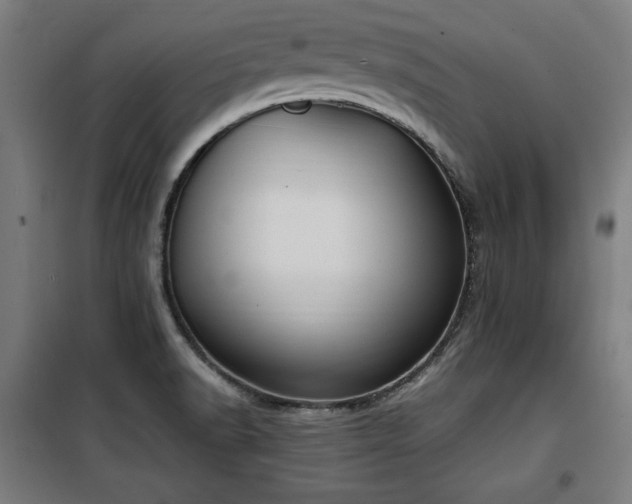 X0000100191518200805301236