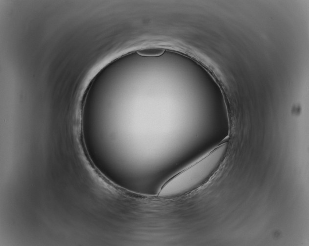 X0000100191520200805301236