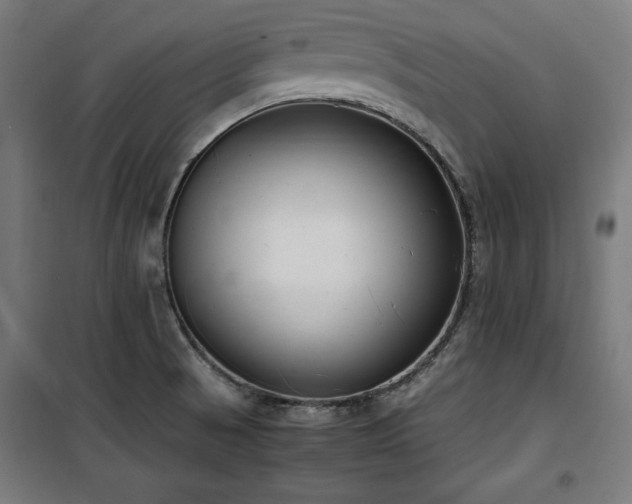 X0000100191521200805301236