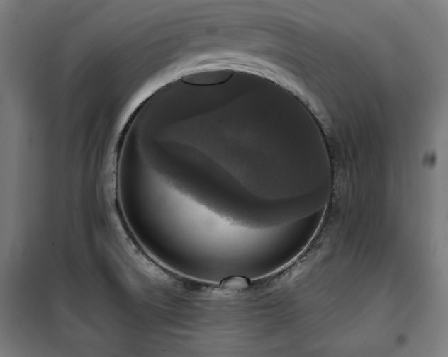 X0000100191522200805301236