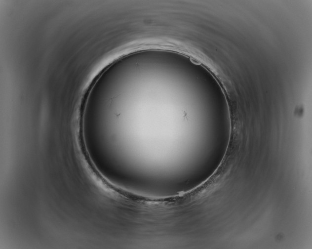 X0000100191523200805301236