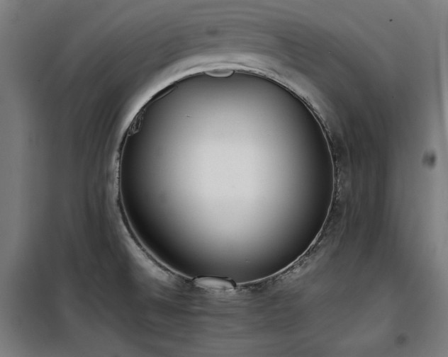 X0000100191524200805301236