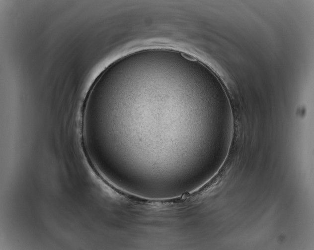 X0000100191527200805301236