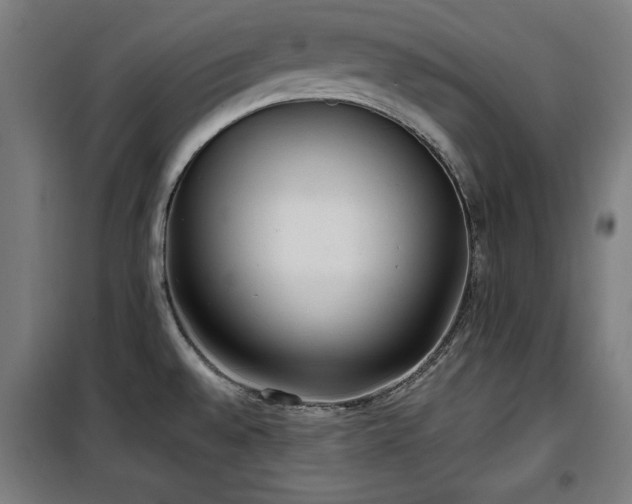 X0000100191528200805301236