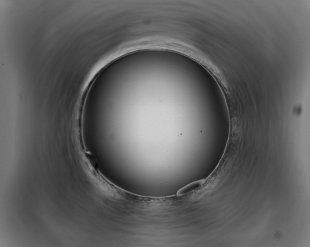 X0000100191530200805301236