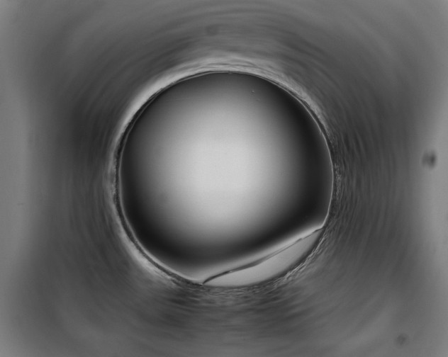 X0000100191531200805301236