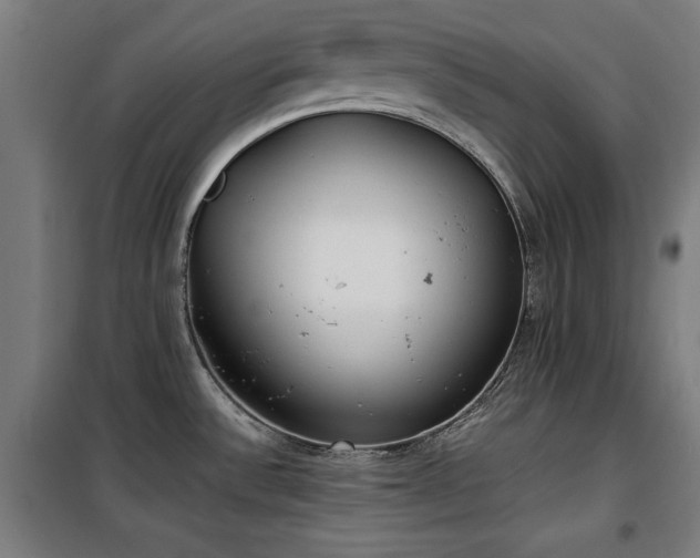 X0000100191532200805301236