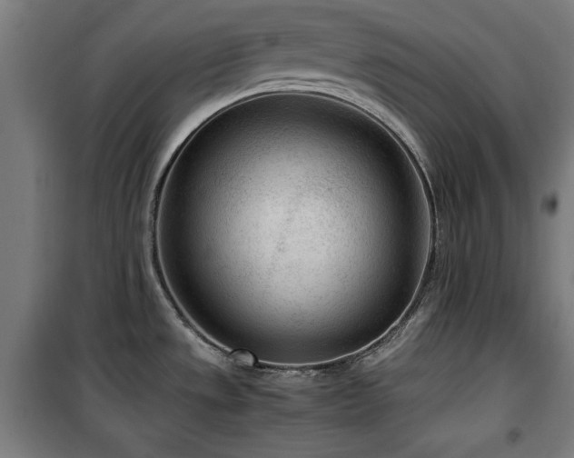 X0000100191533200805301236