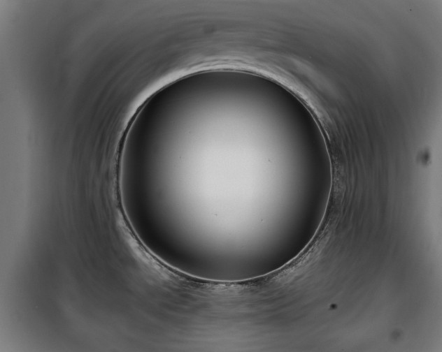 X0000100191534200805301236