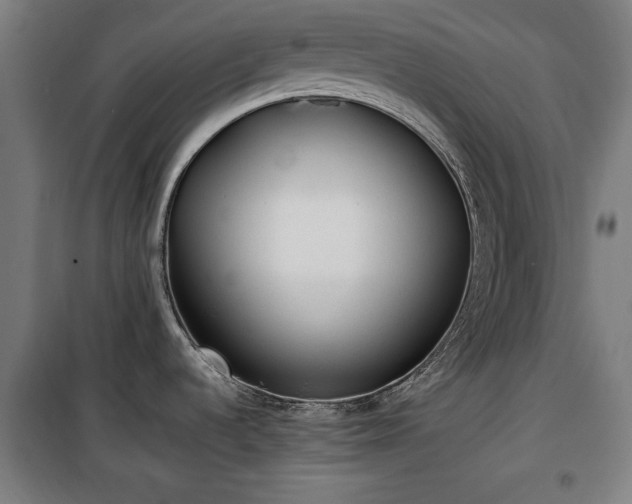X0000100191536200805301237