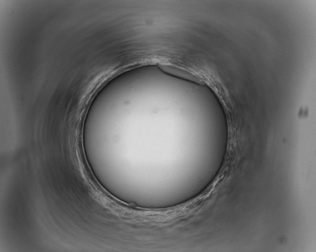 X0000100190001200806061309