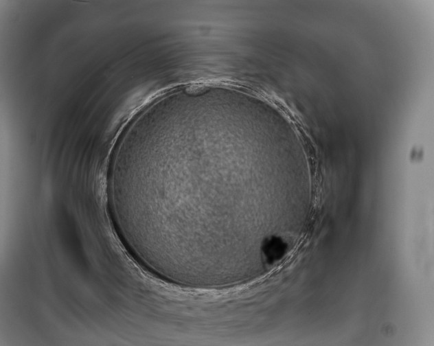 X0000100190002200806061309