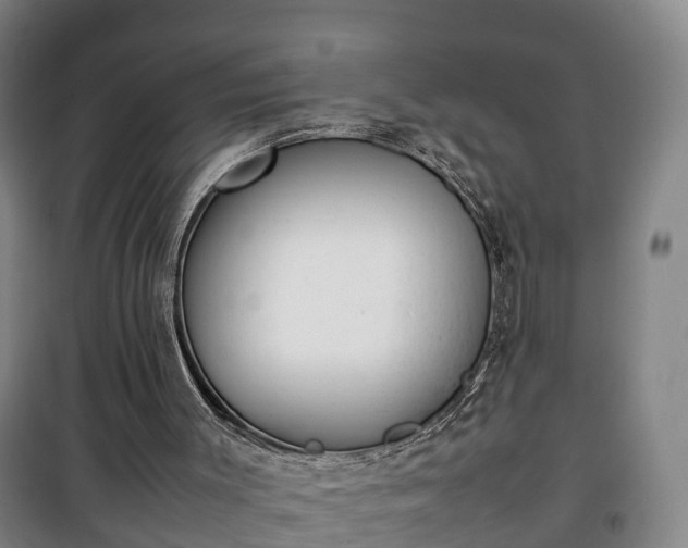 X0000100190003200806061309