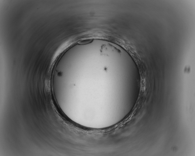 X0000100190004200806061309