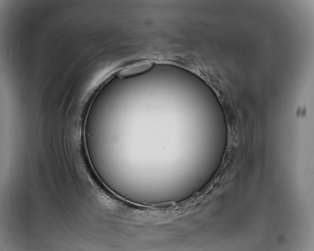 X0000100190005200806061309