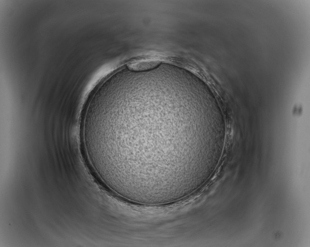 X0000100190006200806061309