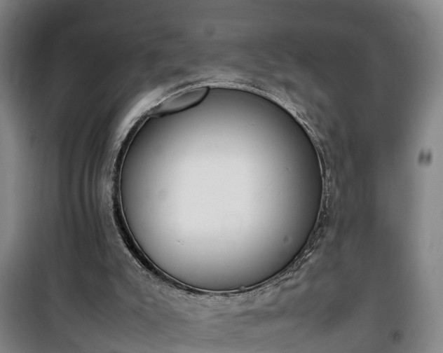 X0000100190007200806061309