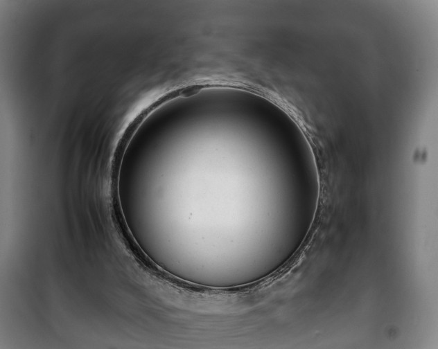 X0000100190008200806061309