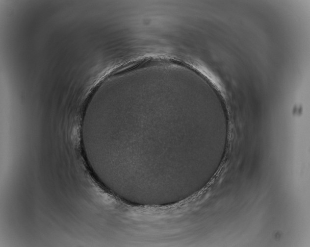 X0000100190009200806061309