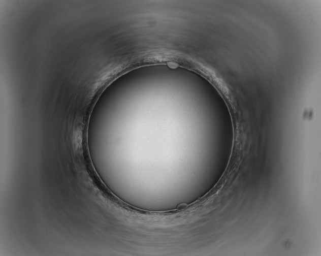 X0000100190010200806061309