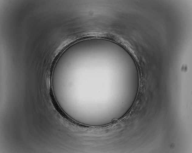 X0000100190011200806061309