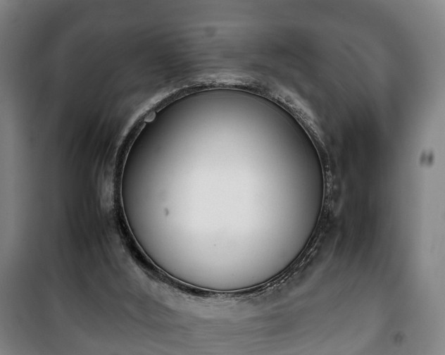 X0000100190012200806061309