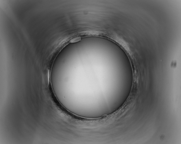 X0000100190013200806061309