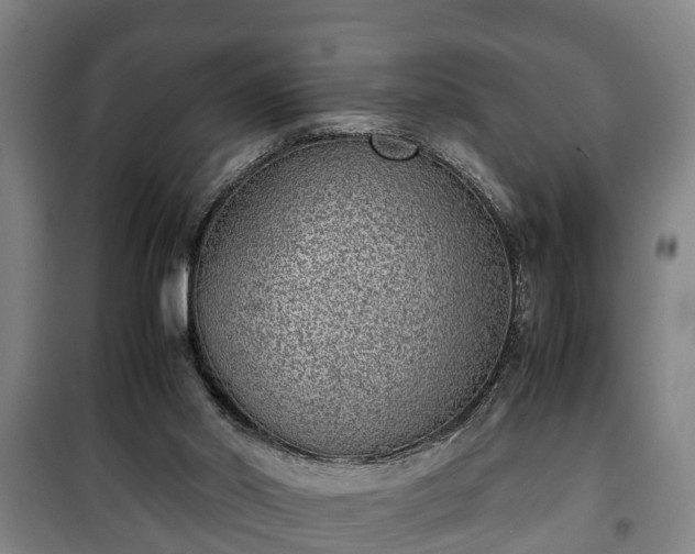 X0000100190014200806061309