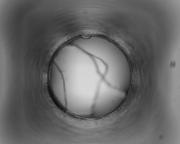 X0000100190015200806061309