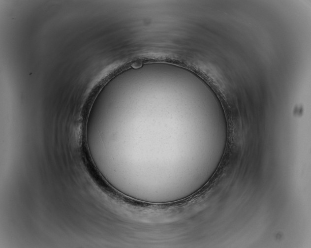 X0000100190016200806061309