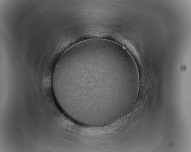 X0000100190017200806061309