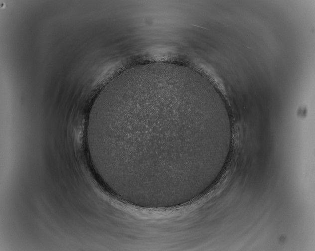 X0000100190018200806061309