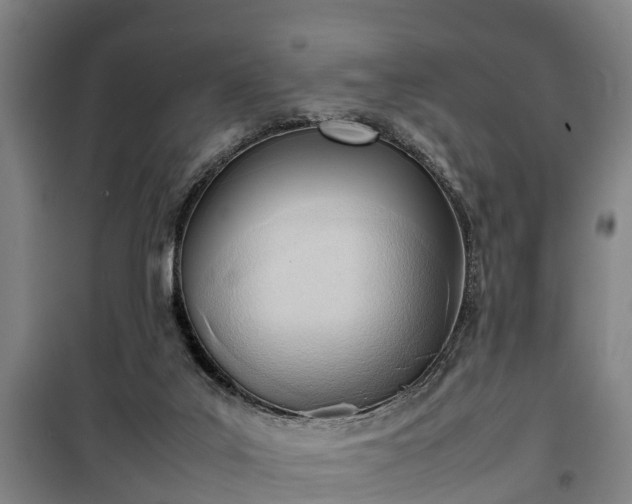 X0000100190019200806061309