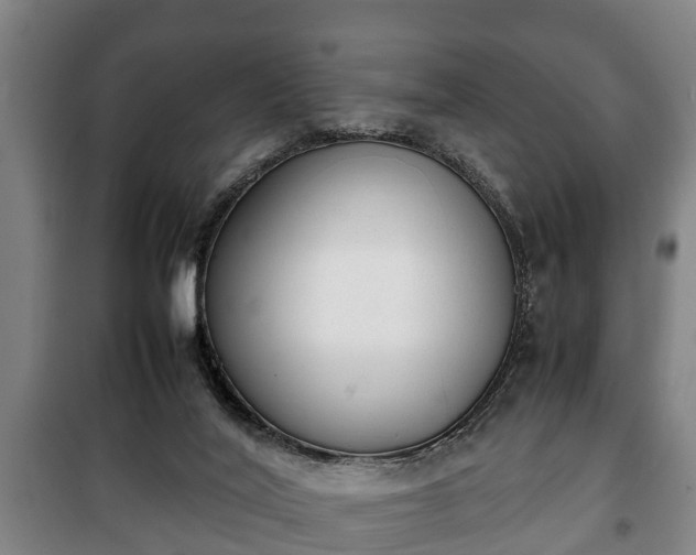 X0000100190020200806061309