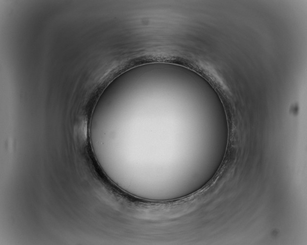 X0000100190021200806061309