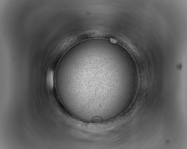 X0000100190022200806061309