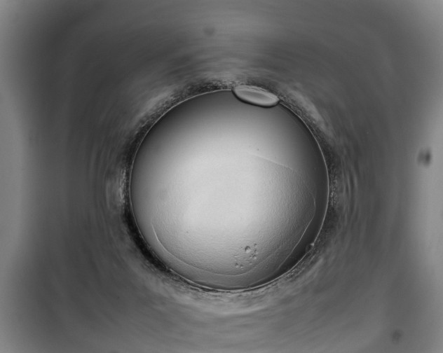 X0000100190023200806061309