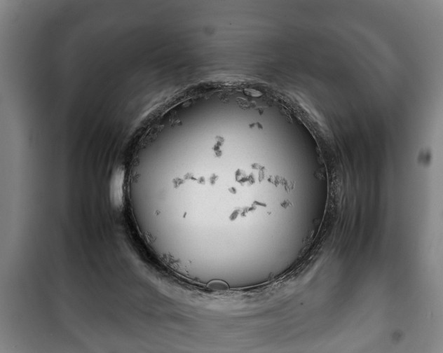 X0000100190024200806061309