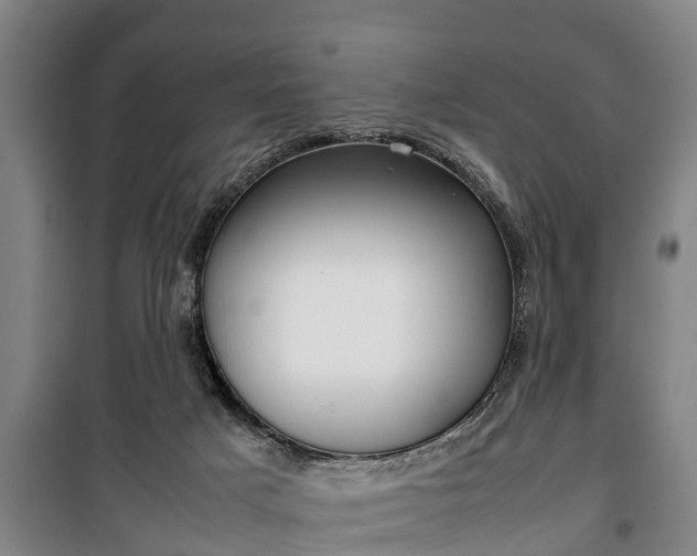 X0000100190025200806061309