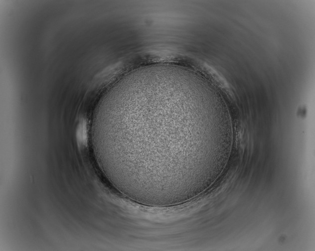 X0000100190026200806061309