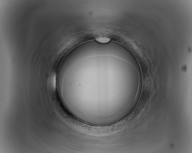 X0000100190027200806061309