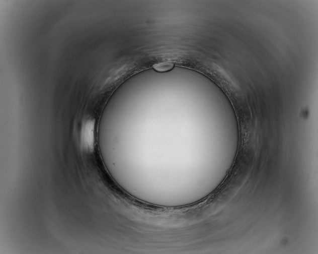 X0000100190028200806061309