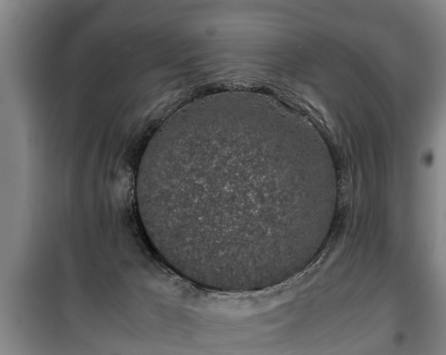 X0000100190029200806061309