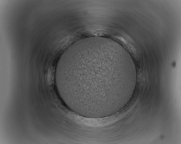 X0000100190030200806061309