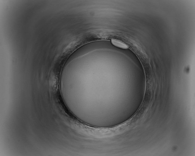 X0000100190031200806061309