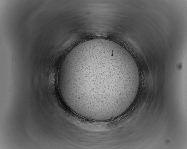 X0000100190032200806061309