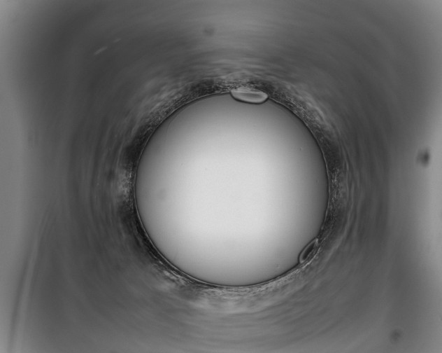 X0000100190033200806061309