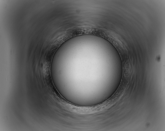 X0000100190034200806061309