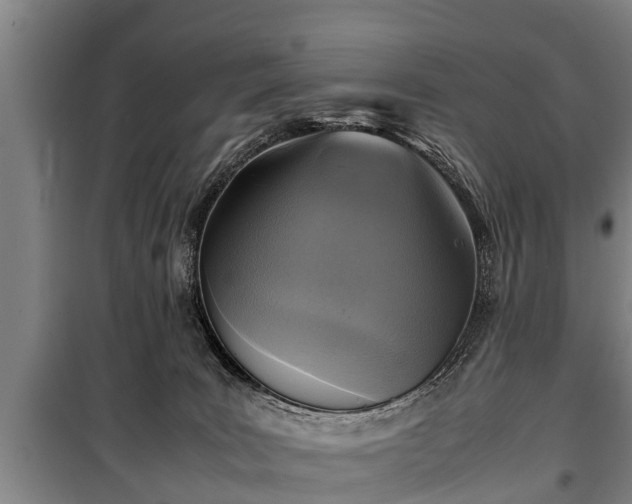 X0000100190035200806061309