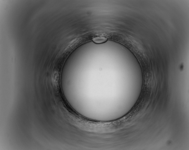 X0000100190036200806061309